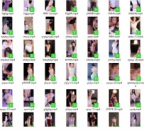 舞蹈大全集约800+  部